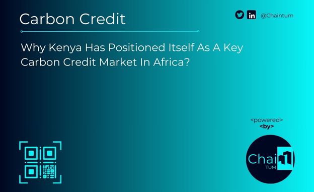 Kenya-Has-Positioned-Itself-As-A-Key-Carbon-Credit-Market