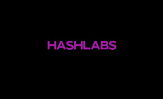 Embedded Bitcoin Mining Steps to Success by Hashlabs Mining