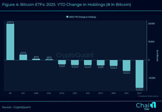 Bitcoin ETFs: 2025 YTD Change in Holdings (3 in Bitcoin)